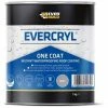 Everbuild Evercryl One Coat Grey 1Kg